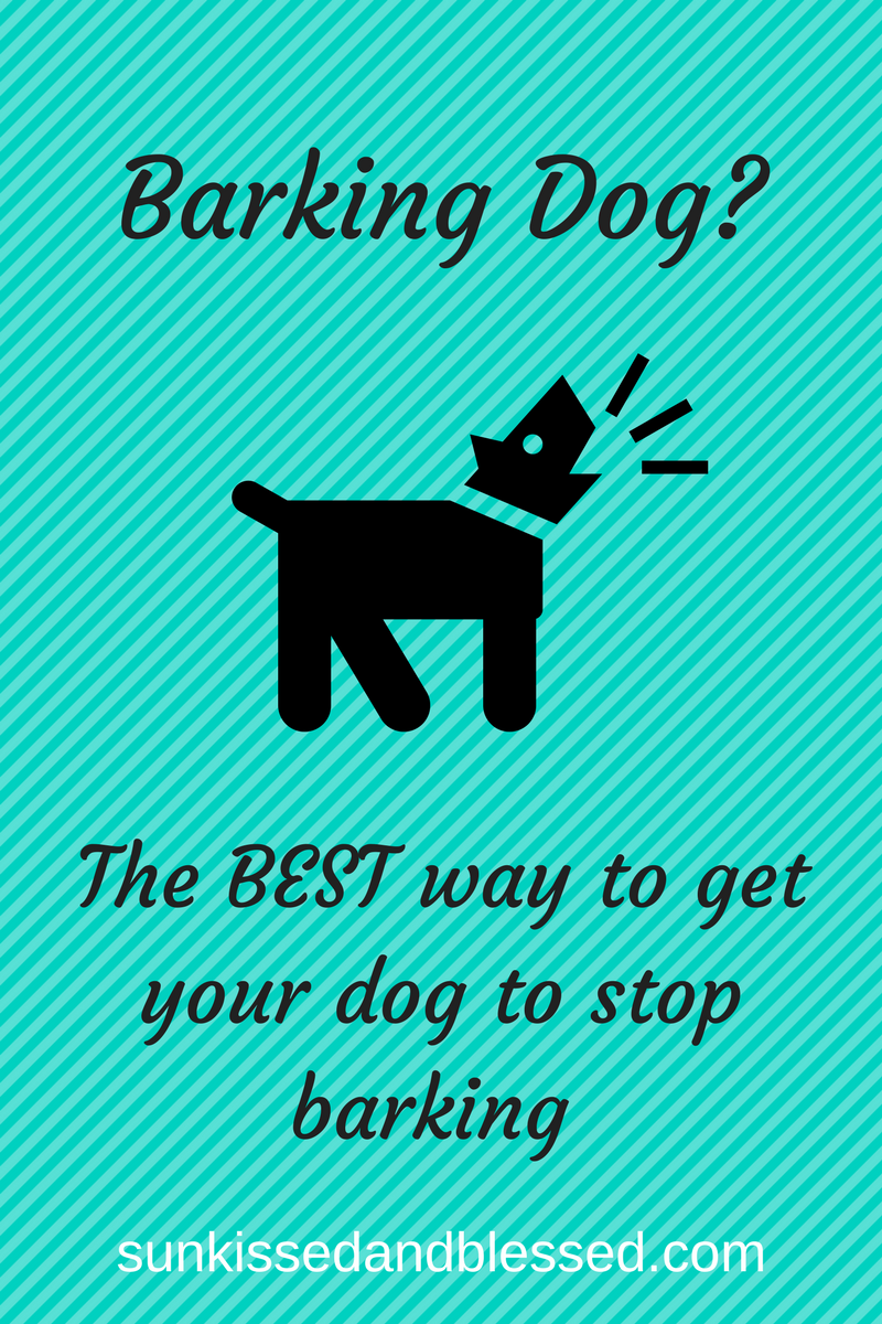 Stop Barking-A Fast and Easy Solution